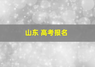 山东 高考报名